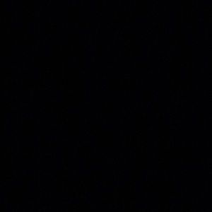 Meet your Posher, Summer